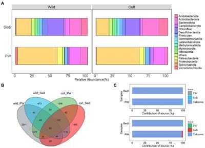 Antibiotics affected the bacterial community structure and diversity in pore water and sediments with cultivated Phragmites australis in a typical Chinese shallow lake